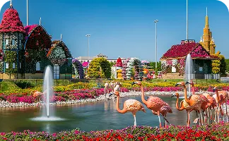 Сад чудес Dubai Miracle Garden Дубай