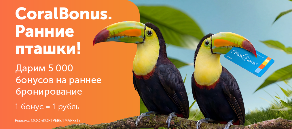 rannie-ptashki-letyat-k-moryu