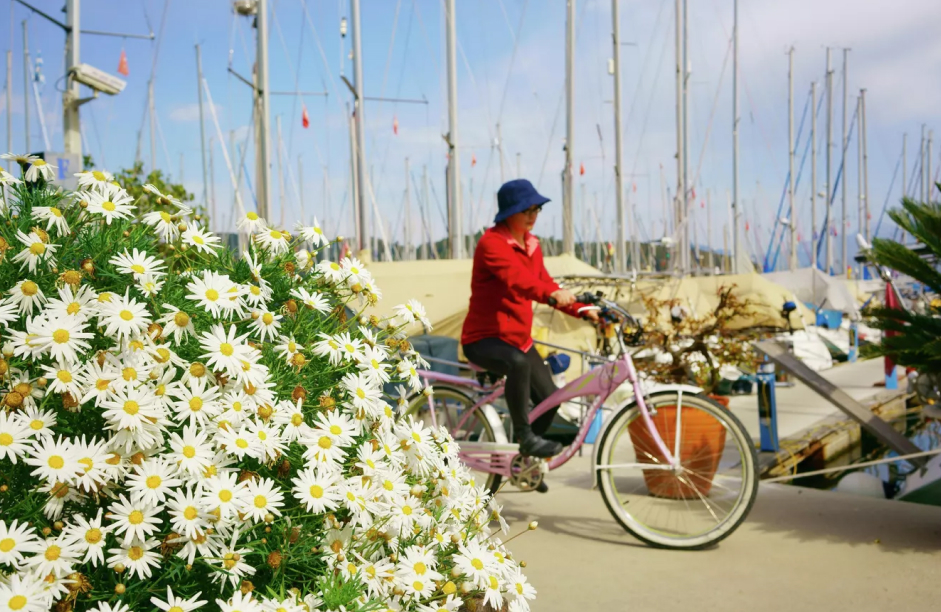 Starway – 2025 Coral Travel