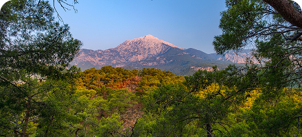 пляж Три Транг