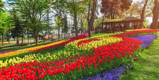 достопримечательности белека